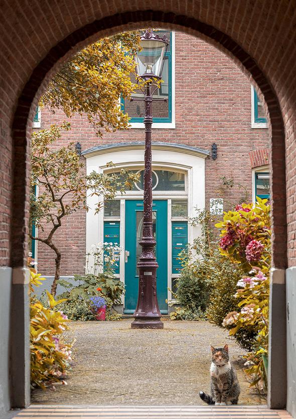 Jeneral Collectives: wholesome times - Purfect Garden 1000 Piece Jigsaw Puzzle