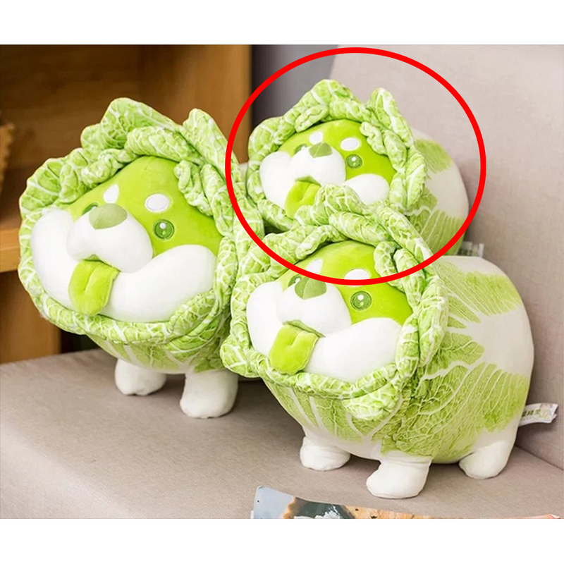 Dodowo: Vegetable Fairies Series - Cabbage Dog Plush