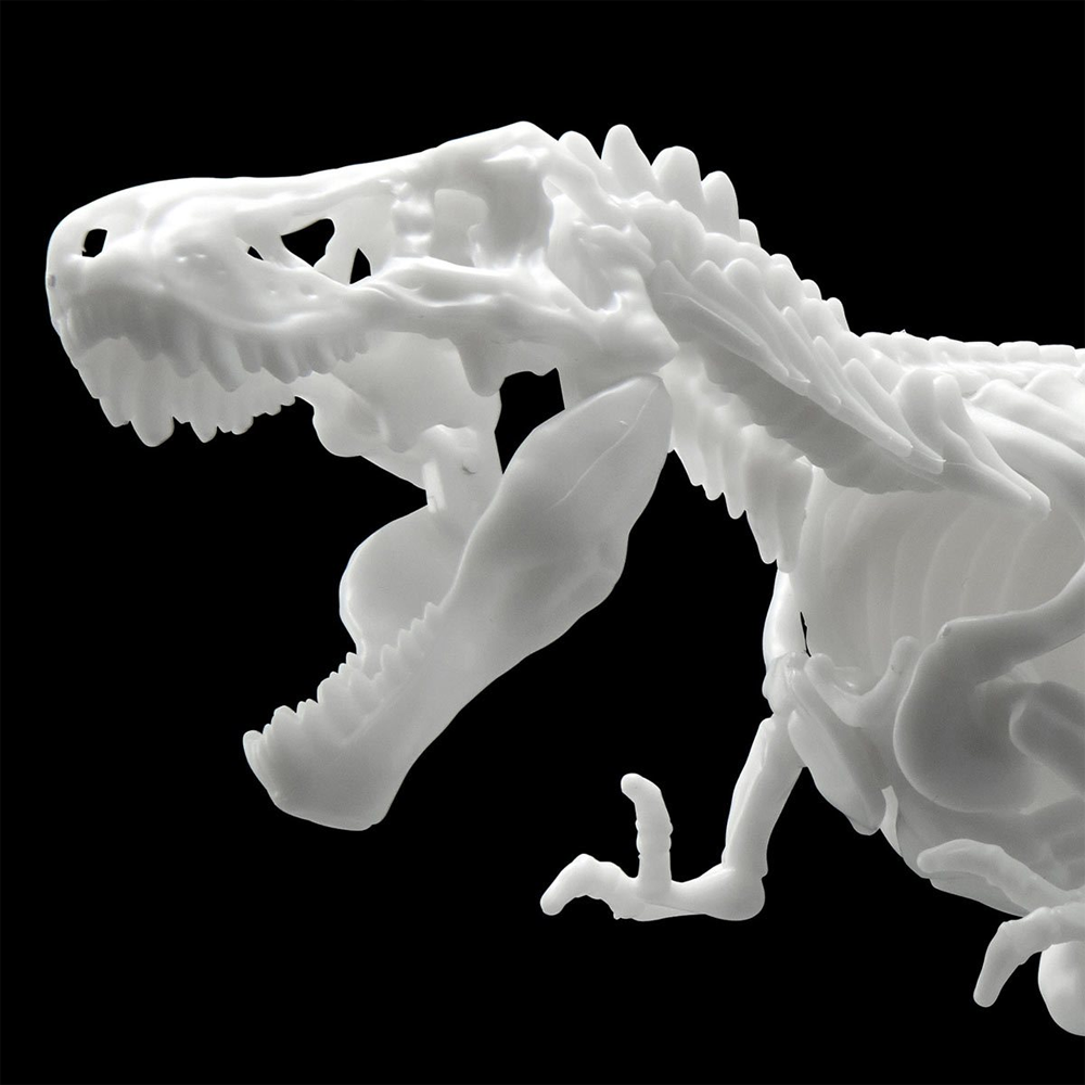 Bandai Spirits: Dinosaur - Tyrannosaurus (Limex Skeleton) Model Kit