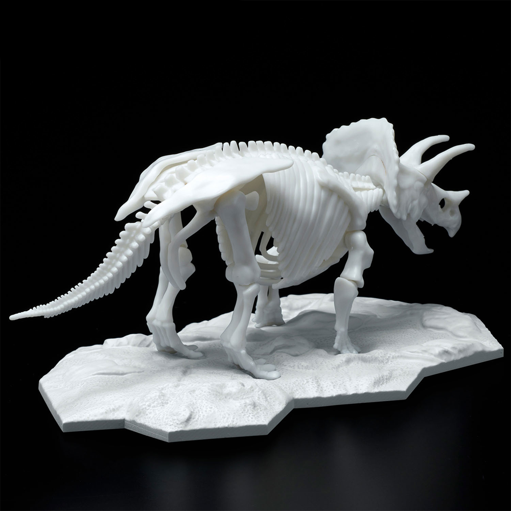 Bandai Spirits: Dinosaur - Triceratops (Limex Skeleton) Model Kit