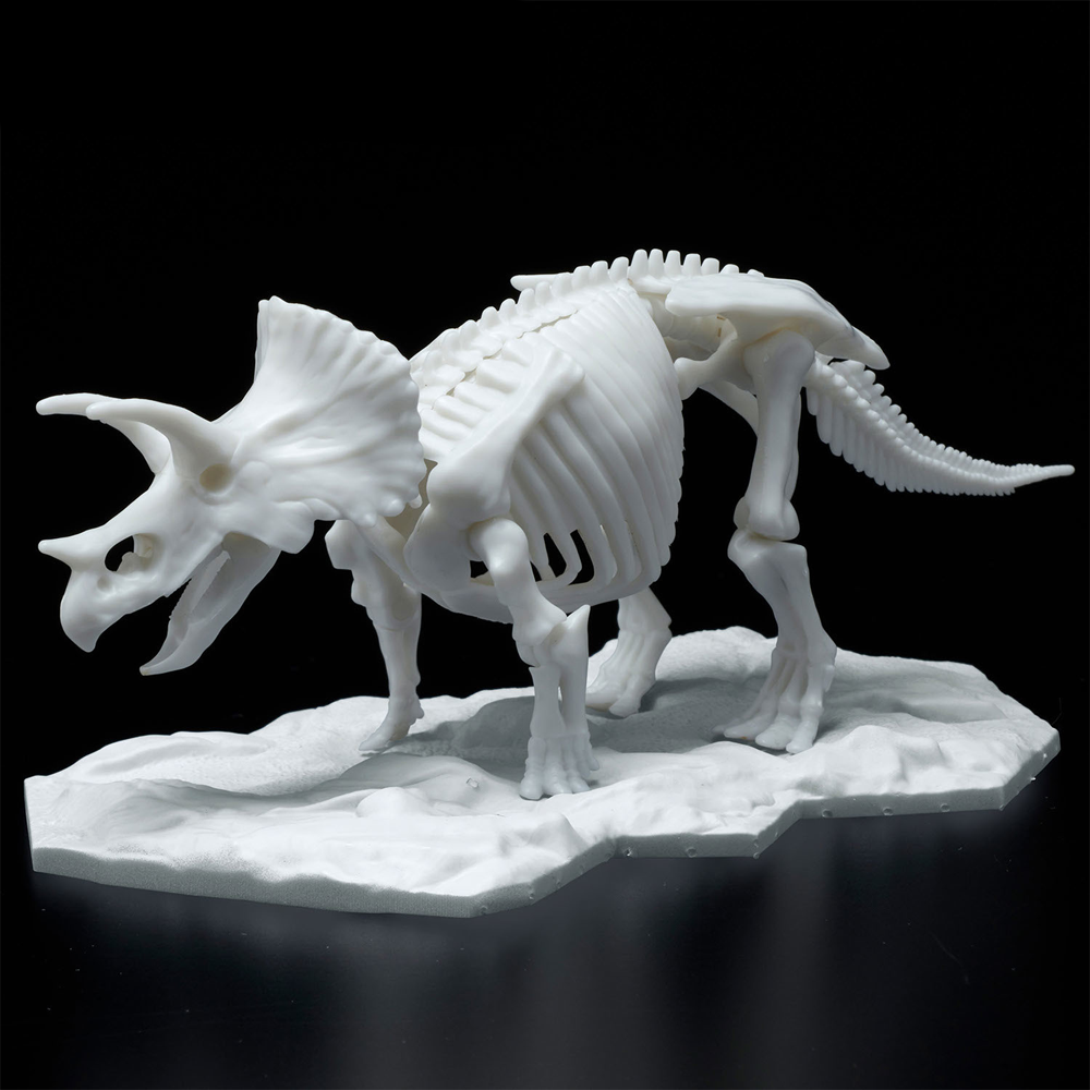 Bandai Spirits: Dinosaur - Triceratops (Limex Skeleton) Model Kit