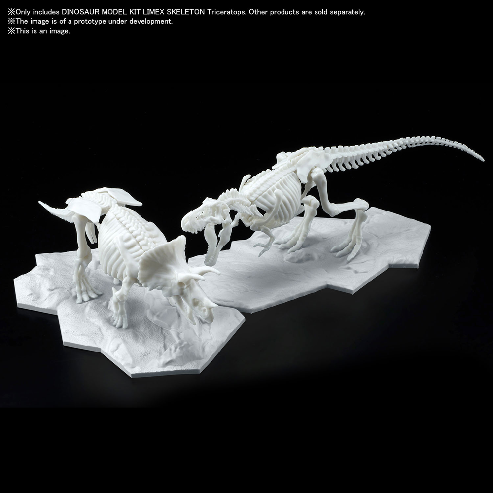 Bandai Spirits: Dinosaur - Triceratops (Limex Skeleton) Model Kit