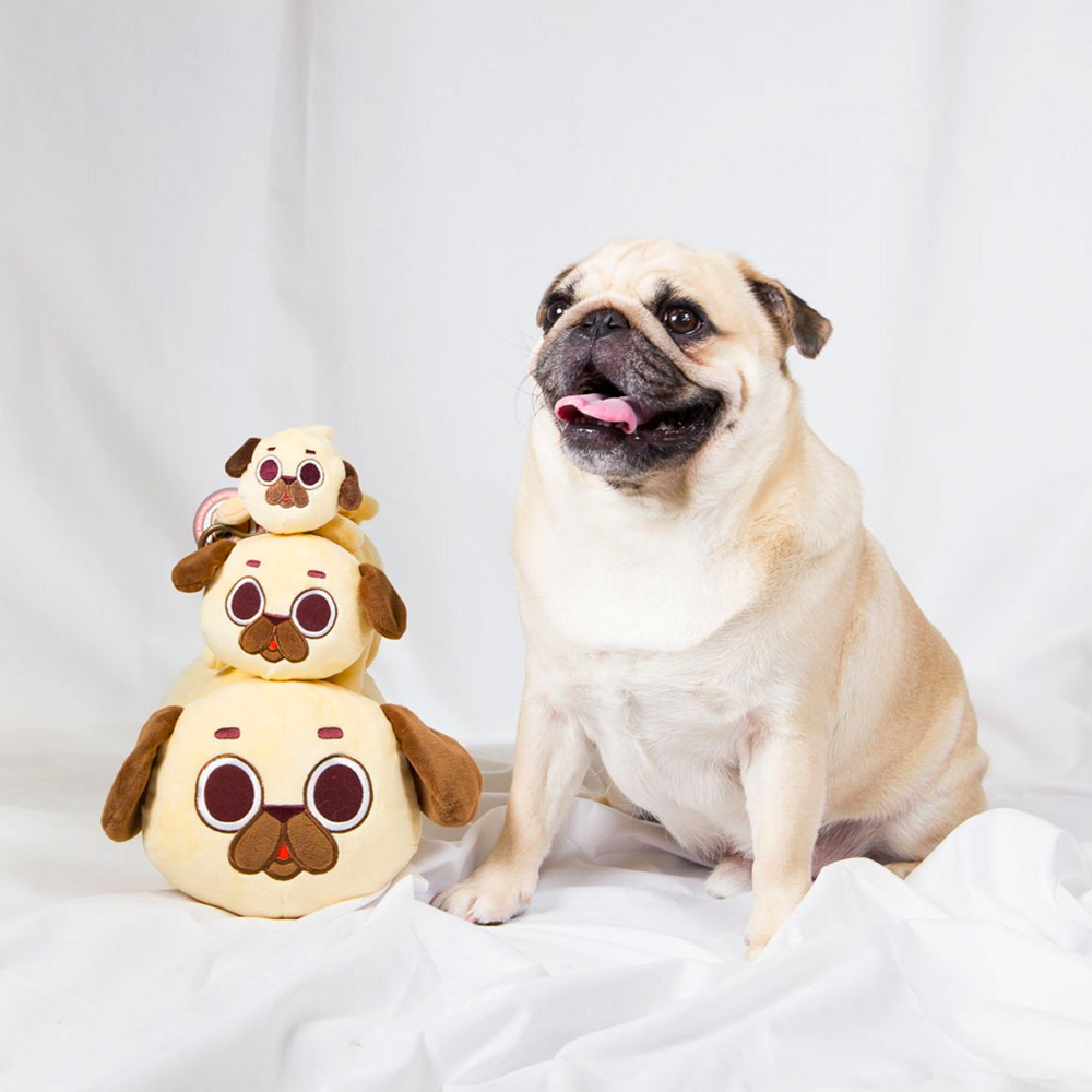 Good Smile Company: Puglie Pug Plush Medium With Hang Clip