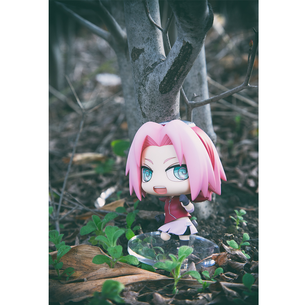 Chimi-Mega Buddy Series: Naruto Shippuden - Haruno Sakura and Sasori (With Gift)