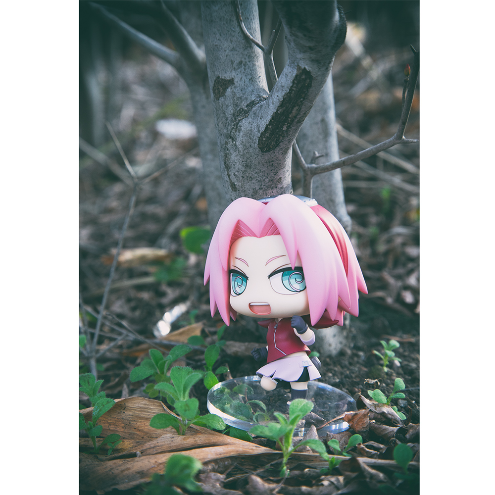 Chimi-Mega Buddy Series: Naruto Shippuden - Haruno Sakura and Sasori ( Chimi-Mega Buddy Series: Naruto Shippuden - Haruno Sakura and Sasori (